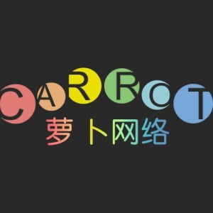 福建蘿卜網絡科技 深耕計算機技術開發，驅動數字創新未來